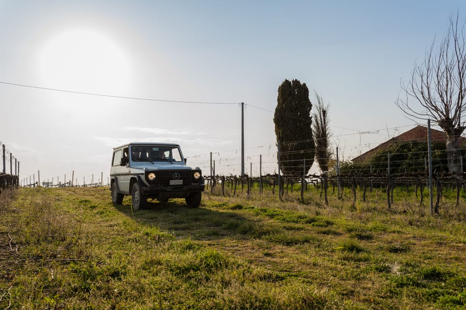 Abruzzo: Vineyard Jeep Tour With Tastings