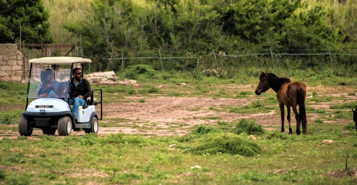 Alghero: Golf Car Hire in Porto Conte Natural Park