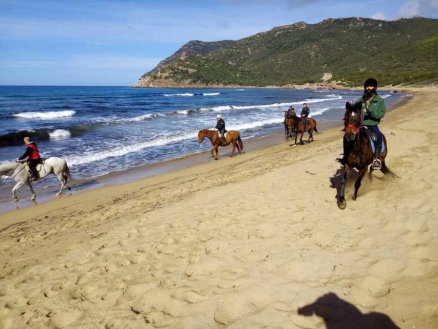 Alghero: Guided Horseback Ride at Lake Baratz & Porto Ferro