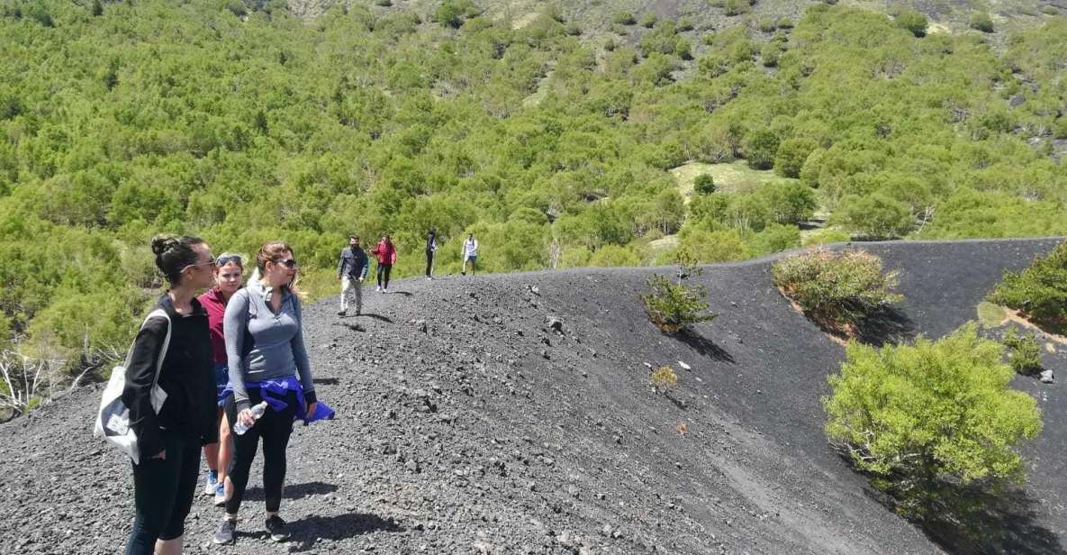 From Taormina: Half-Day Mount Etna Morning Trek