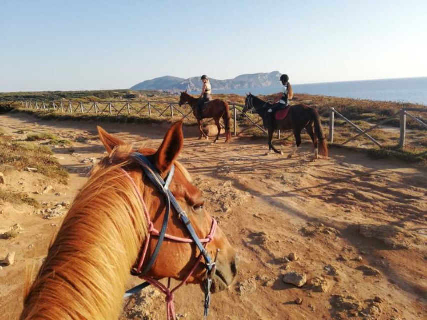 Alghero: Guided Horseback Ride at Lake Baratz & Porto Ferro - Experience Highlights