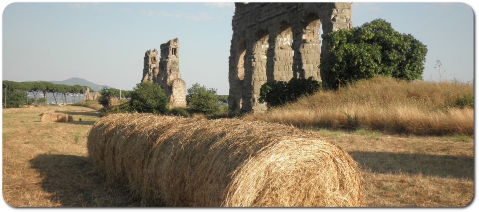 Rome: Appian Way E-bike Tour Catacombs, Aqueducts & Lunch - Booking Information