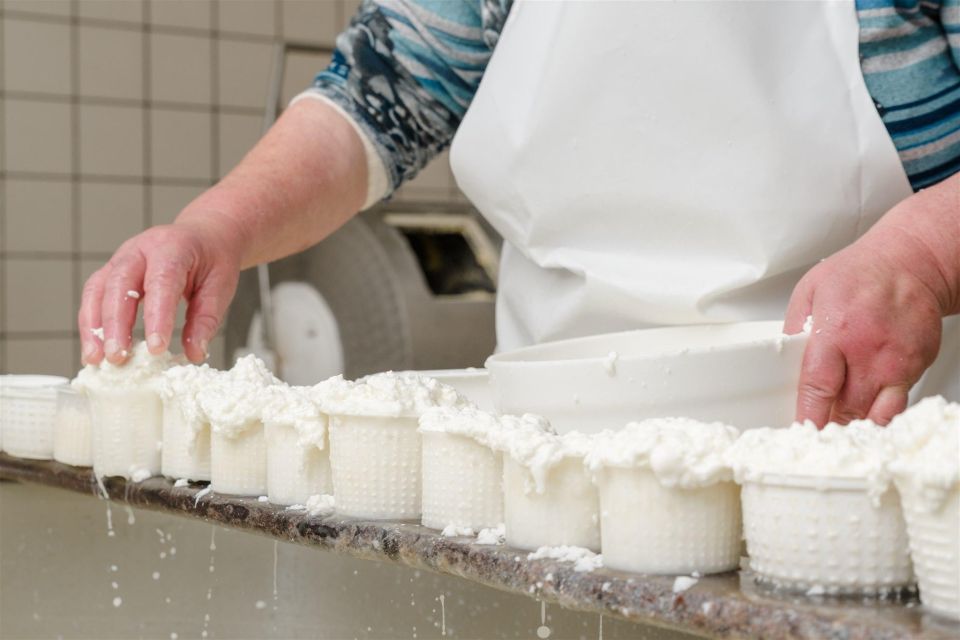 Vico Equense: Tour in the Mozzarella Expience Dairy - Dairy and Cheese Production Details