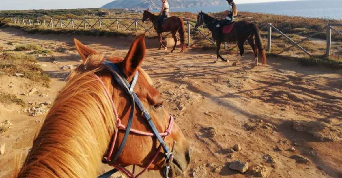 Alghero: Guided Horseback Ride at Lake Baratz & Porto Ferro - Full Description