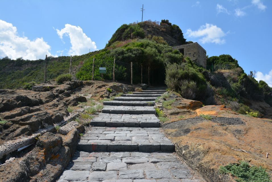 From Naples: Procida Island Day Trip With Lunch - Transportation and Logistics