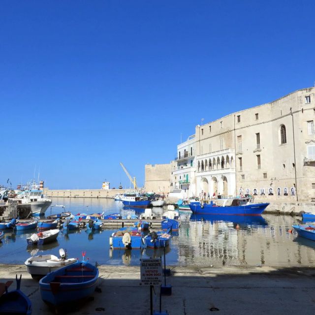 From Puglia: Local Towns Historic Centers Private Tour - Customer Reviews