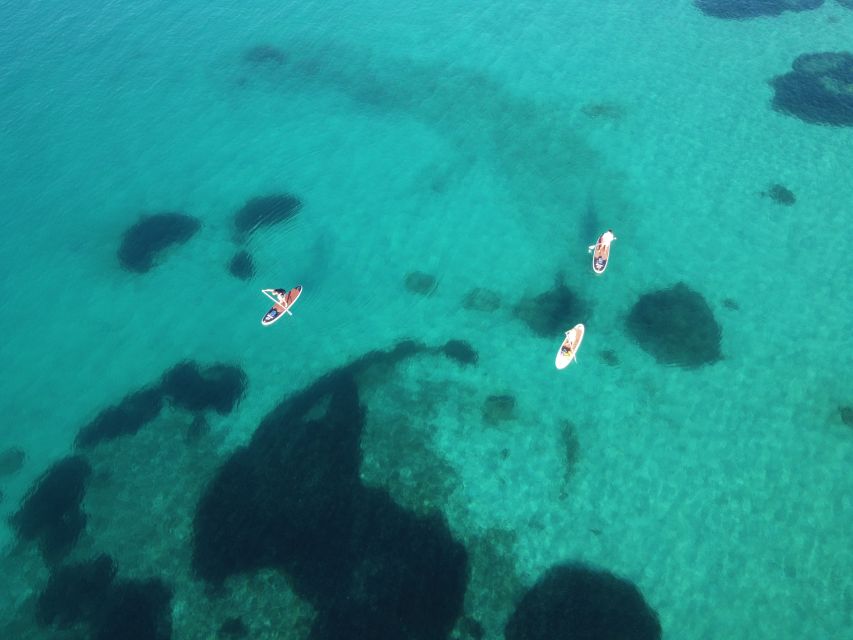 Golfo Aranci Tour With SUP Paddleboard, Dolphin Watching, and Breakfast With Aperitif - Instructor and Language