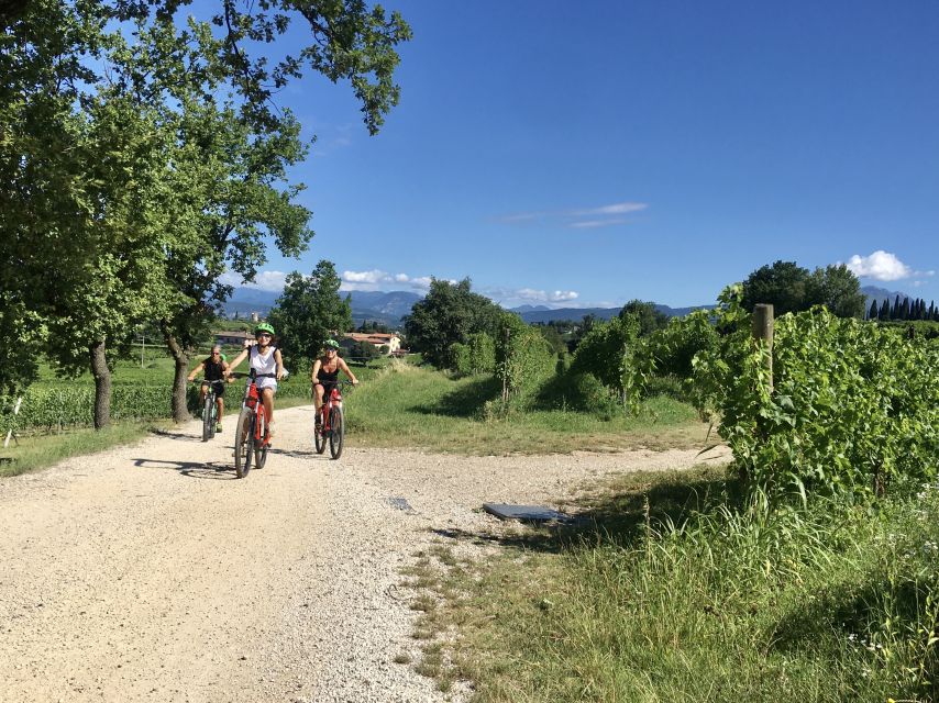 Lazise: Bike Tour and Wine Tasting - Location and Experience Details