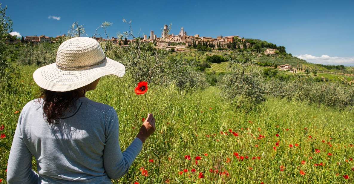 From Florence: Tuscany Highlights Full-Day Tour - Tour Highlights