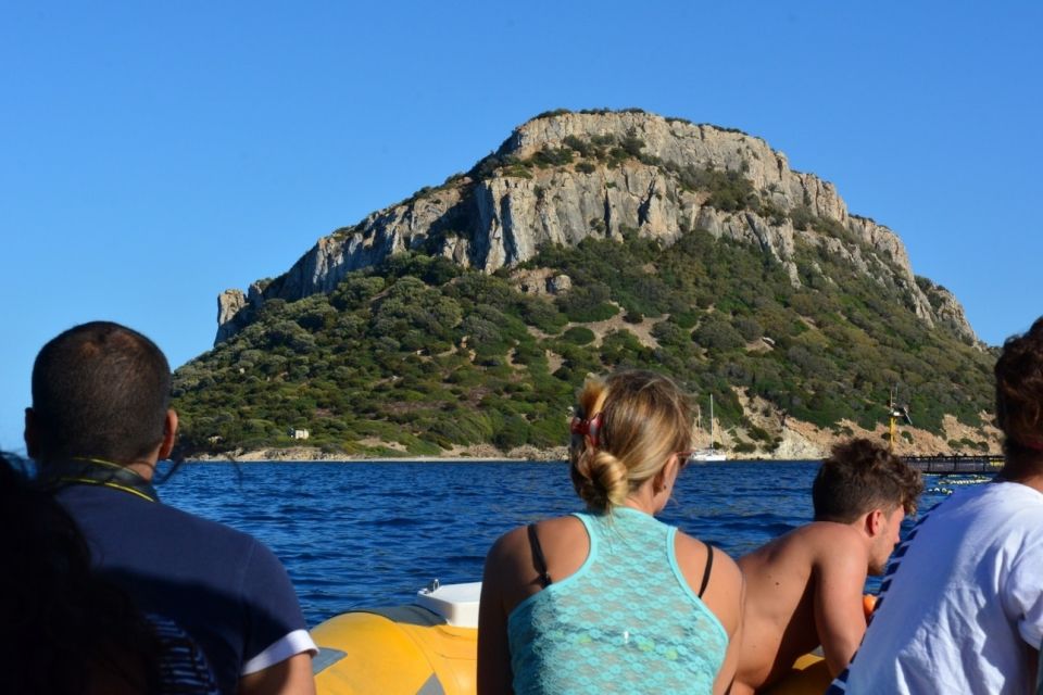 Golfo Aranci: Dolphin Watching and Snorkeling Boat Tour - Tour Details