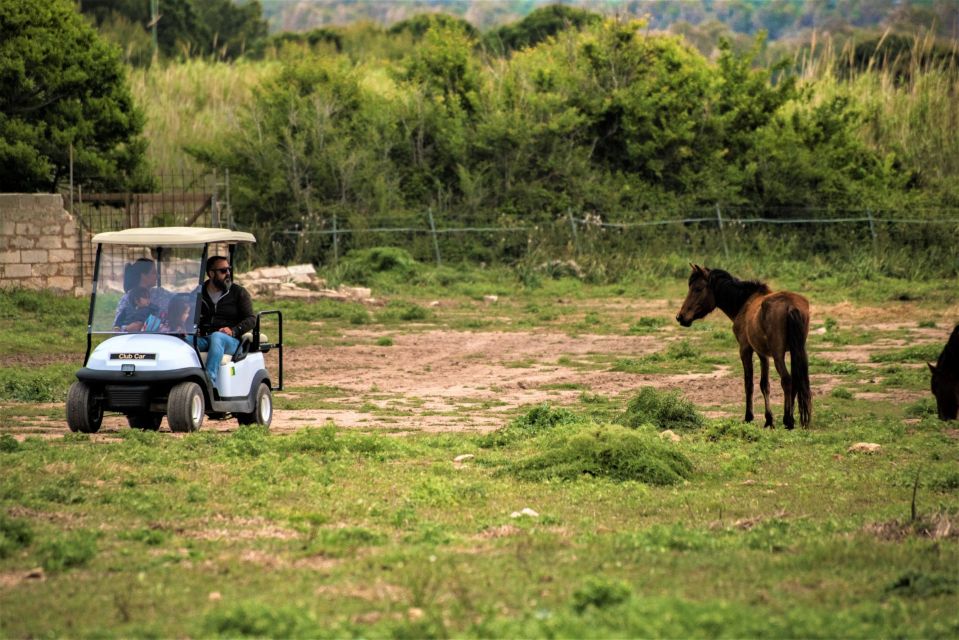 Alghero: Golf Car Hire in Porto Conte Natural Park - Frequently Asked Questions