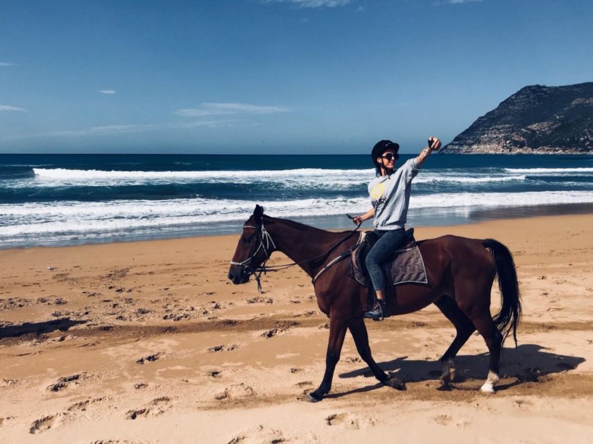 Alghero: Guided Horseback Ride at Lake Baratz & Porto Ferro - Additional Information