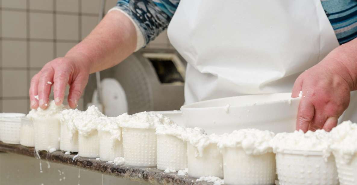 Vico Equense: Tour in the Mozzarella Expience Dairy - Frequently Asked Questions