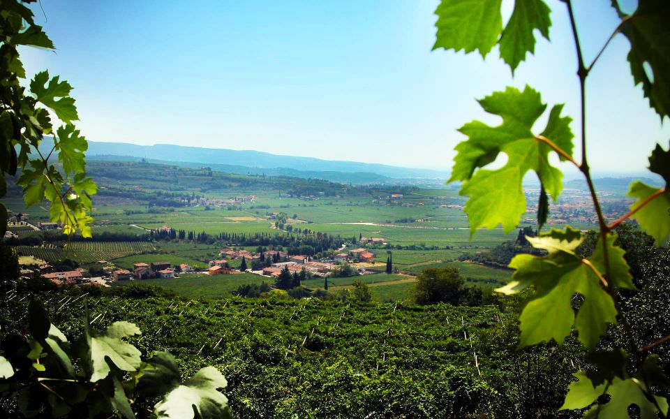 2-Hours Amarone Wine Tour With Sommelier Wine Tastings - Frequently Asked Questions