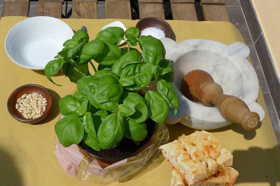 Manarola: Authentic Pesto Making Class in Cinque Terre - Final Words