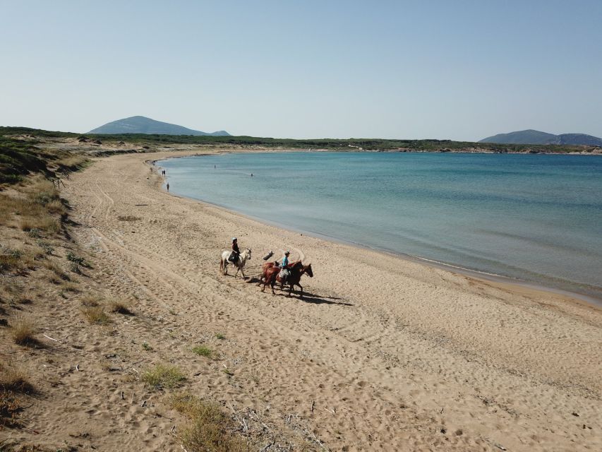 Alghero: Guided Horseback Ride at Lake Baratz & Porto Ferro - Frequently Asked Questions