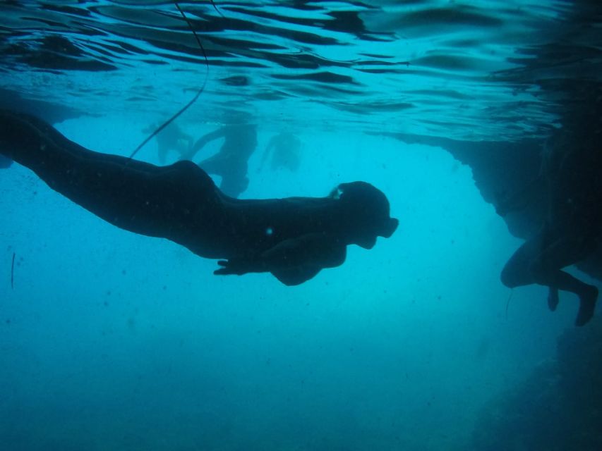 Dubrovnik: Blue Cave & Sunj Beach Boat Tour With Drinks - Just The Basics