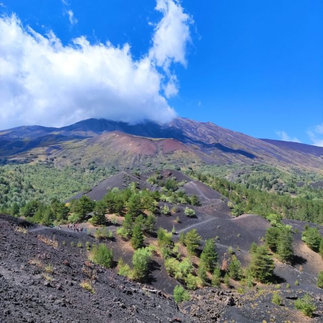 From Catania: Mount Etna and Alcantara Gorges Day Trip - Just The Basics