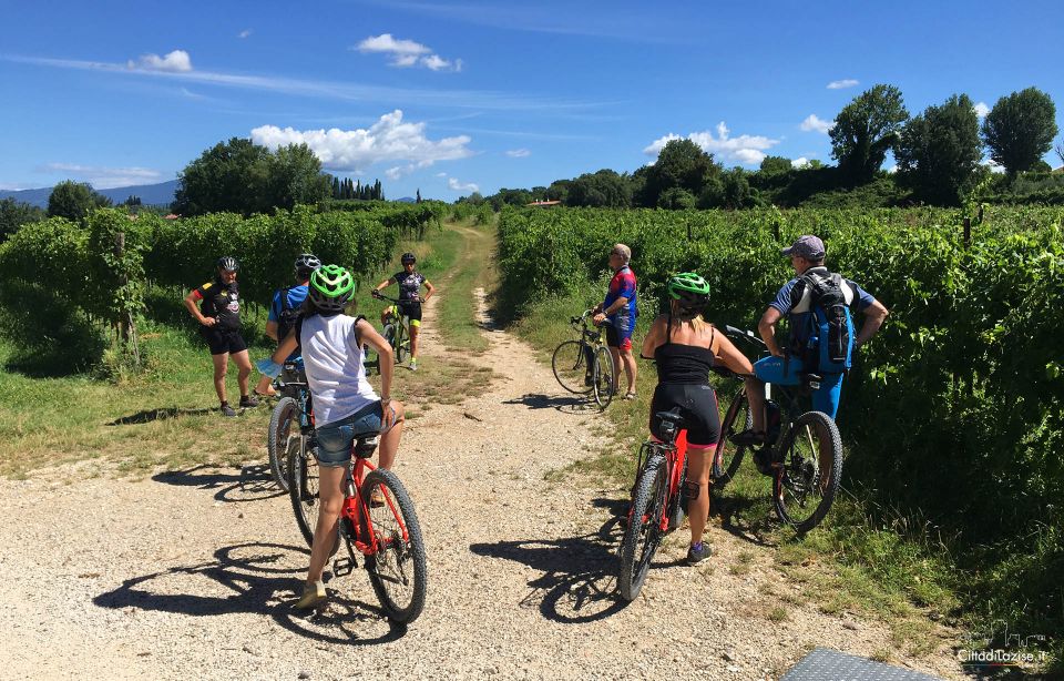 Lazise: Bike Tour and Wine Tasting - Just The Basics