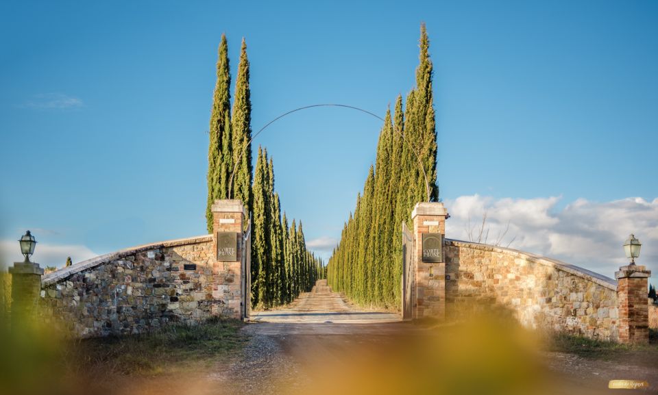 Montalcino: Gourmet Wine & Food Tasting - Just The Basics