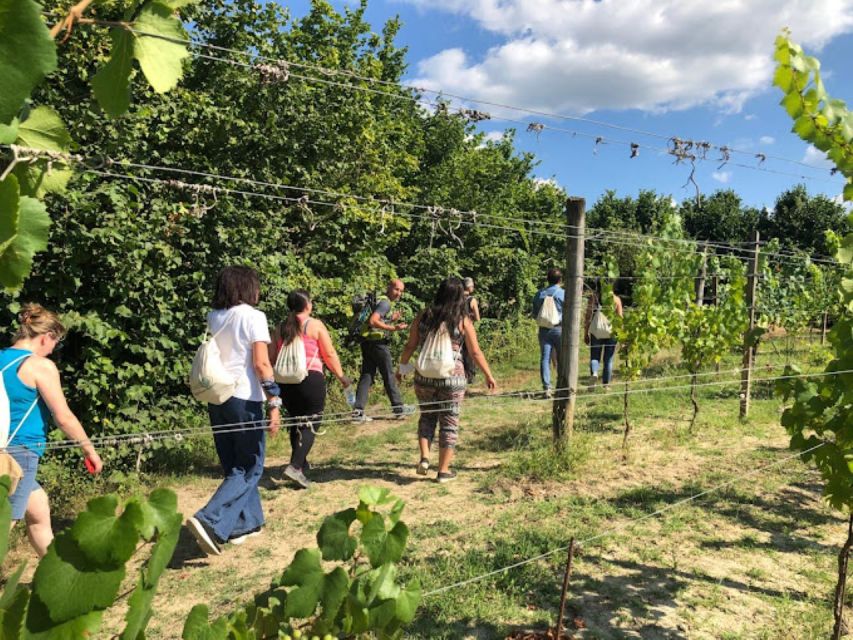 San Sebastiano Curone: Walking Tour in Val Curone - Just The Basics