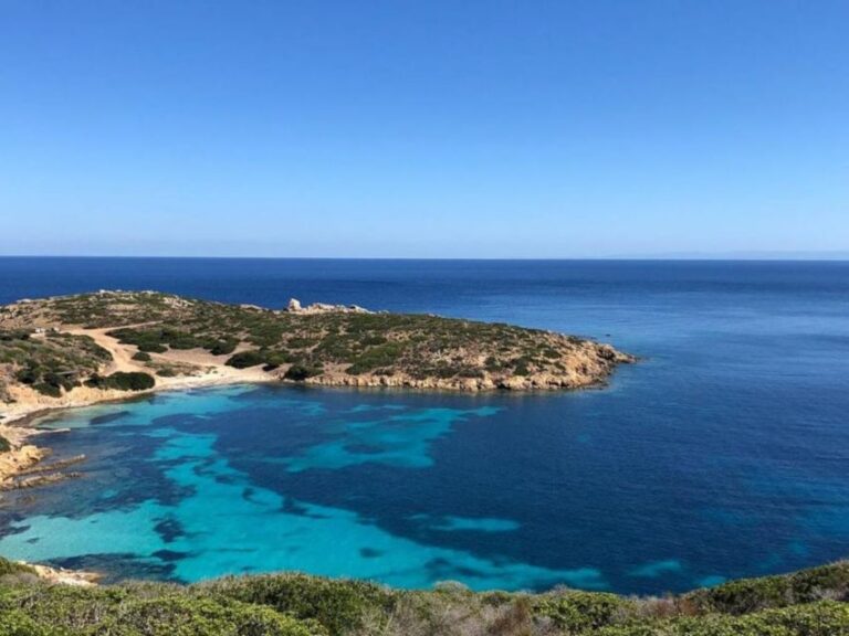 From Stintino: Asinara National Park Guided Tour by Minivan