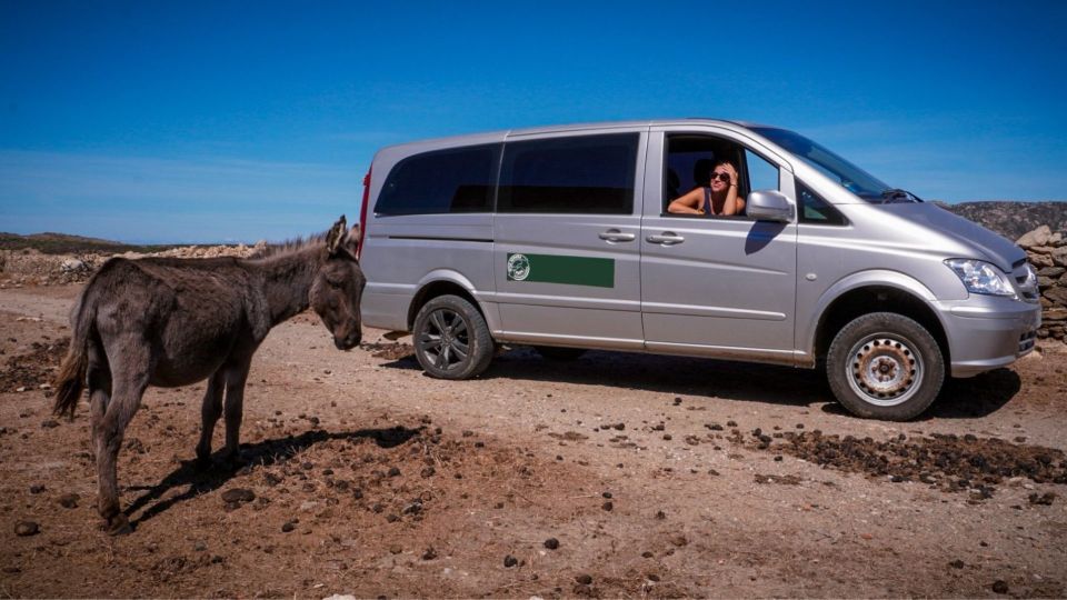 From Stintino: Asinara National Park Guided Tour by Minivan - Itinerary Details