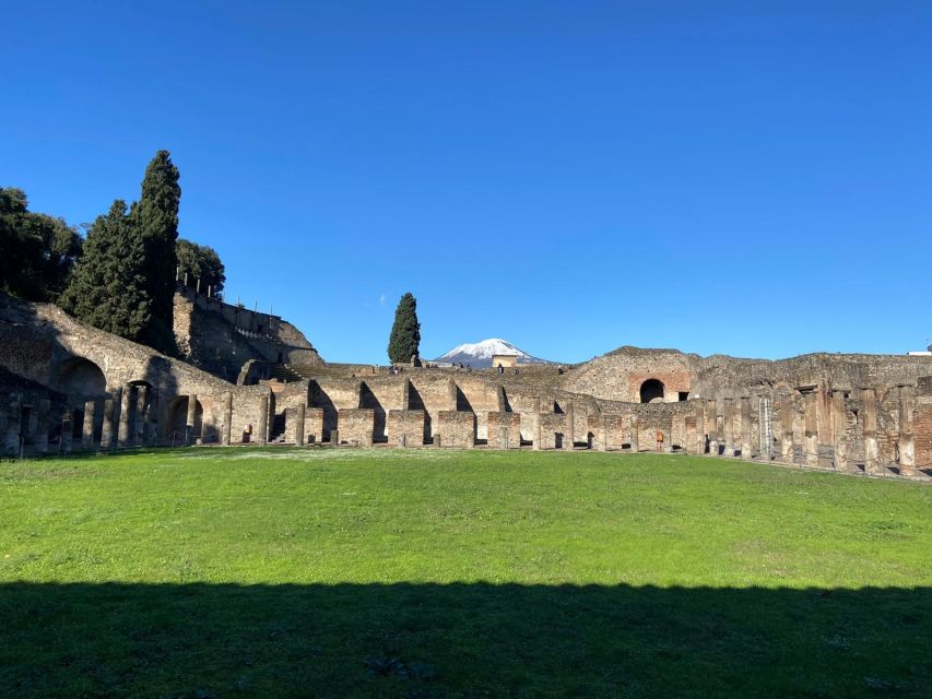 Pompeii: Transfer From Rome - Experience Highlights