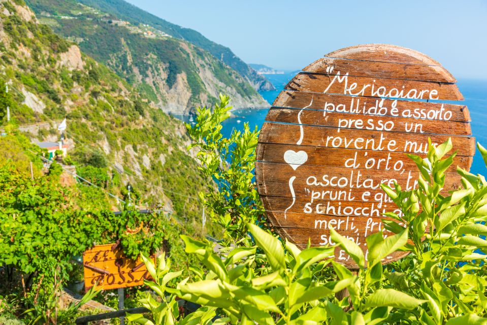 Riomaggiore: Vineyard & Wine Cellar Tour With Wine Tasting - Experience Highlights