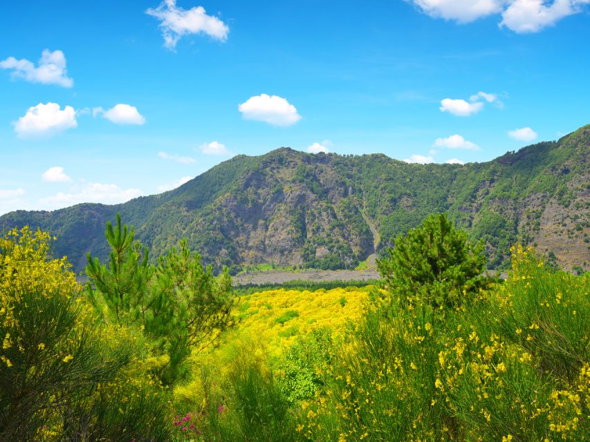 Vesuvius and Herculaneum From Naples - Booking Information