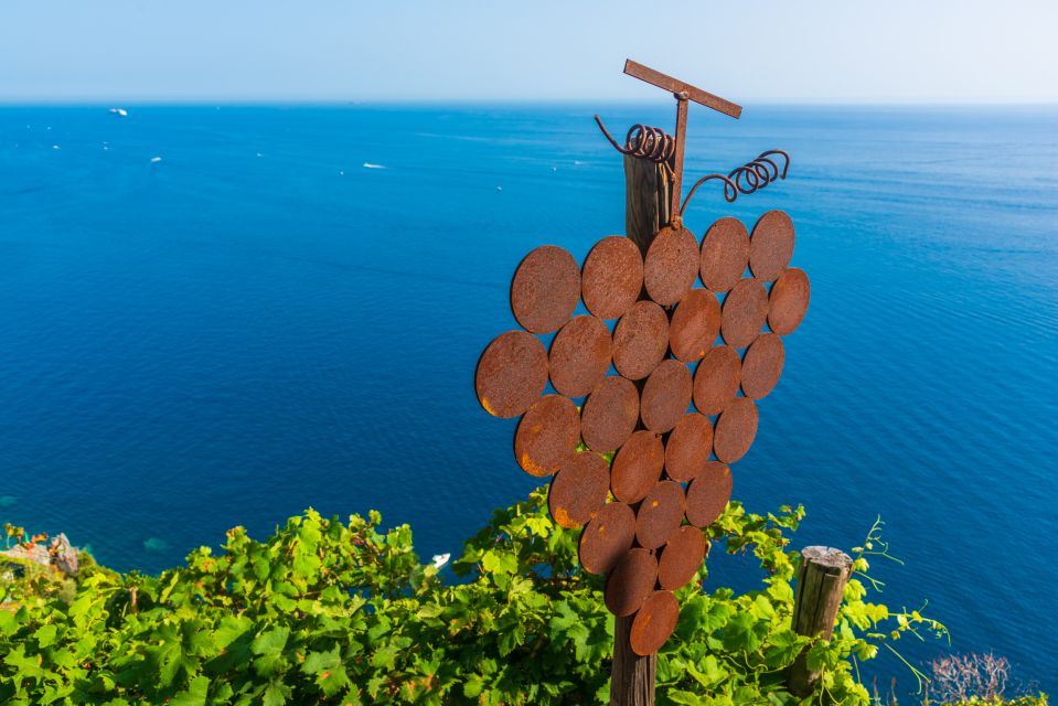 Riomaggiore: Vineyard & Wine Cellar Tour With Wine Tasting - Booking Information