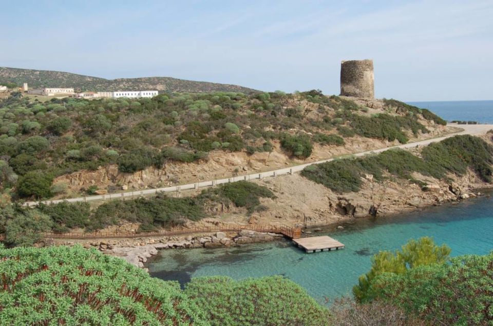 From Stintino: Asinara National Park Guided Tour by Minivan - Transportation Details