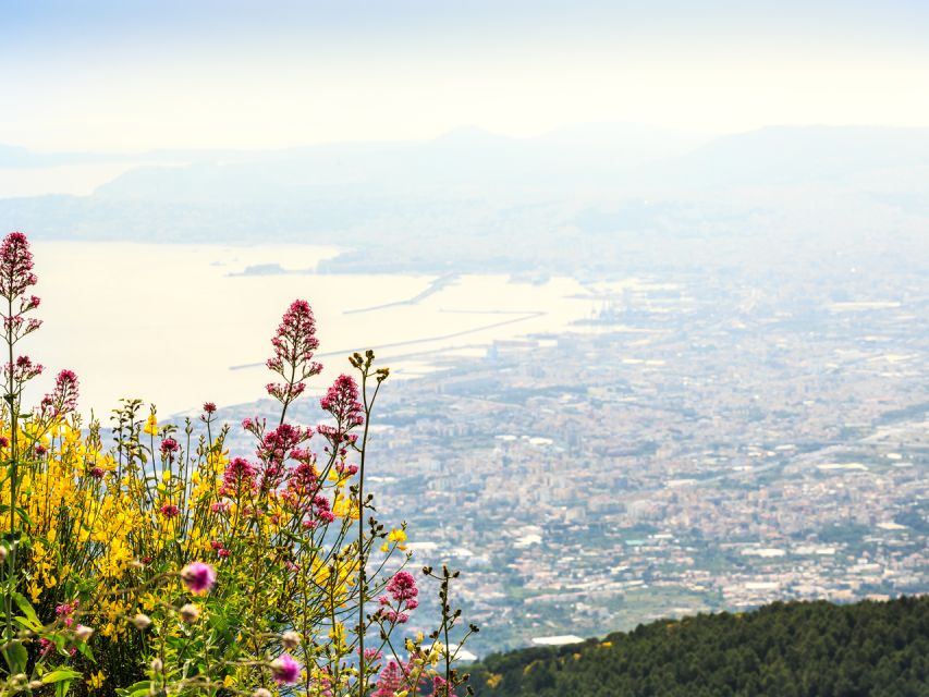 Vesuvius and Herculaneum From Naples - Final Words