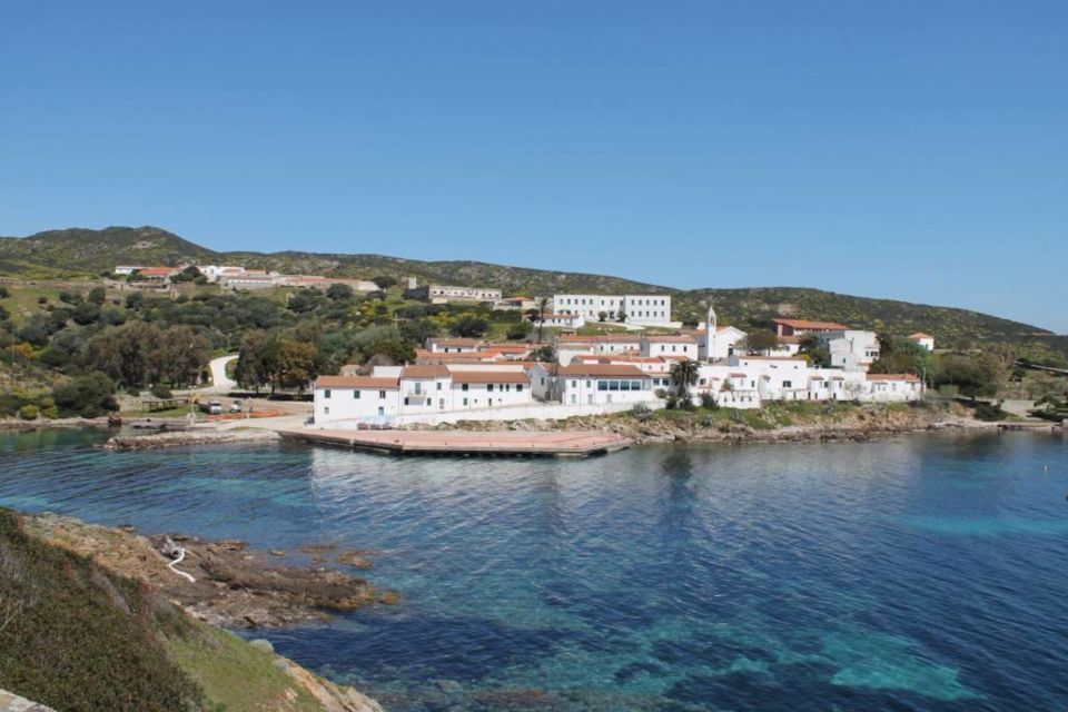 From Stintino: Asinara National Park Guided Tour by Minivan - Frequently Asked Questions