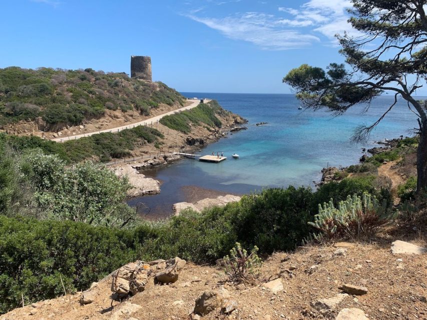 From Stintino: Asinara National Park Guided Tour by Minivan - Final Words