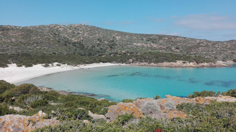 From Stintino: Asinara National Park Guided Tour by Minivan - Just The Basics