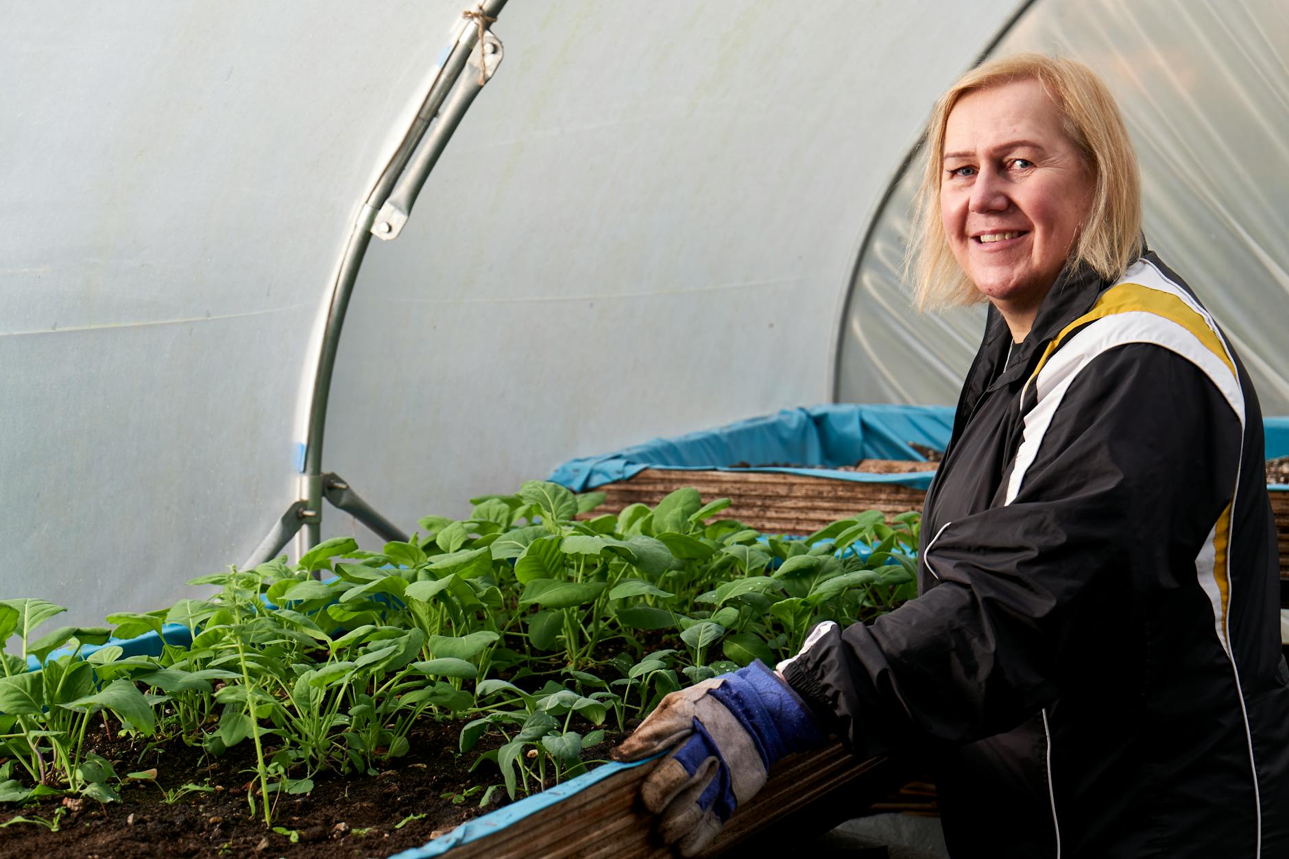 An elderly woman tending to plants in a greenhouse, showcasing horticulture in Greater Manchester.